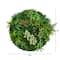 38" Framed Amazon Rainforest Artificial Living Wall Art Panel